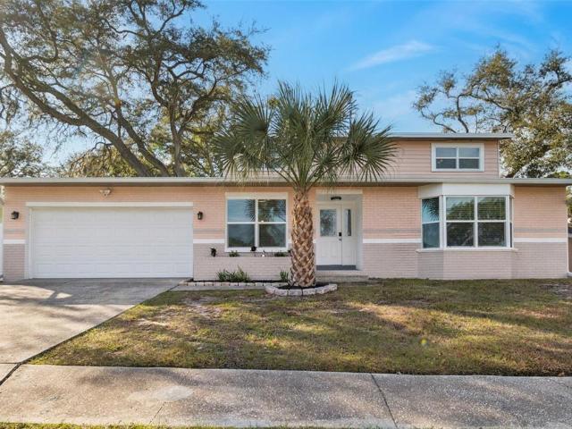 House for rent in Safety Harbor, Florida