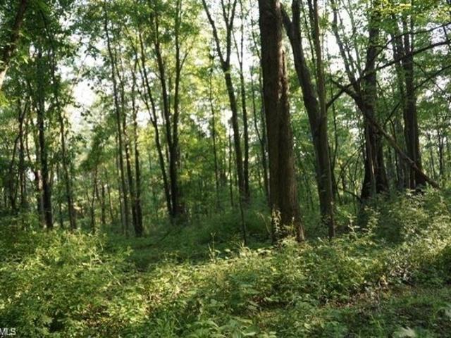 Land for sale in Guilford, North Carolina