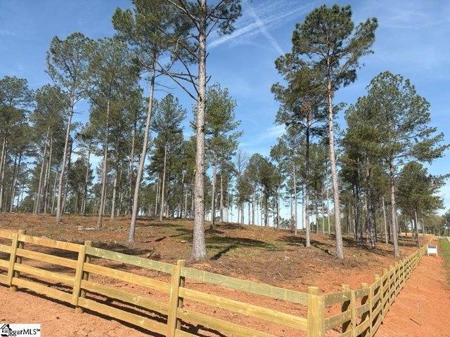 Land for sale in Pelzer, South Carolina