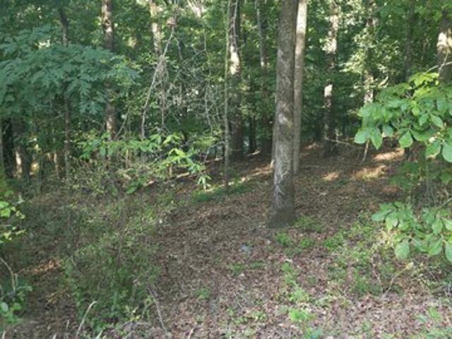 Land for sale in Athens, Georgia