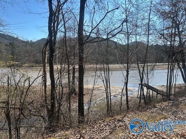 Land for sale in Cedar Bluff, Alabama