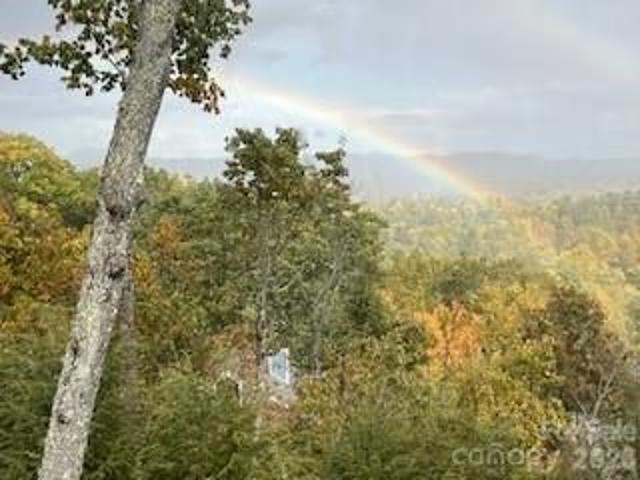 Condo for sale in East Flat Rock, North Carolina