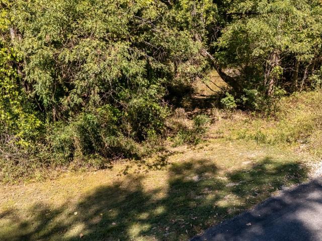 Land for sale in Clifton, Middle Tennessee