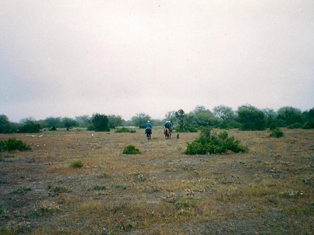 Terreno en venta en Rioverde, San Luis Potosí