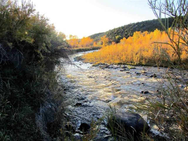 Property for sale in Collbran, Colorado