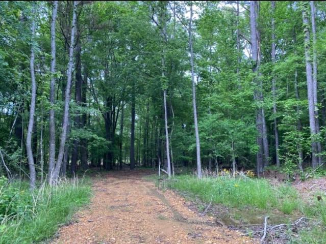 Land for sale in Tennessee