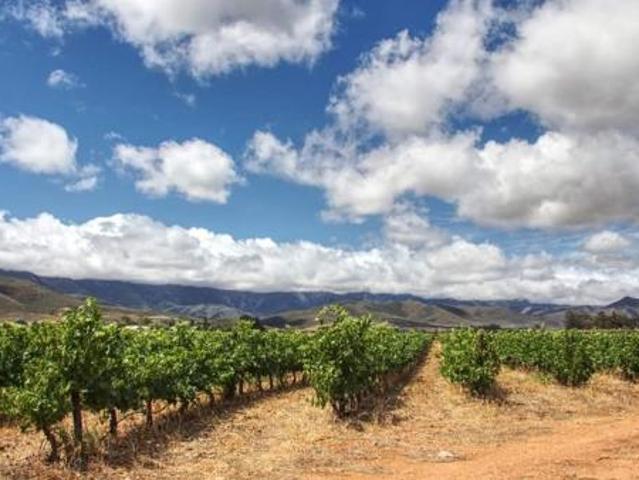 Land for sale in Durbanville, Western Cape