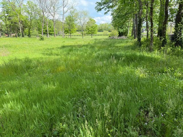 Land for sale in Versailles