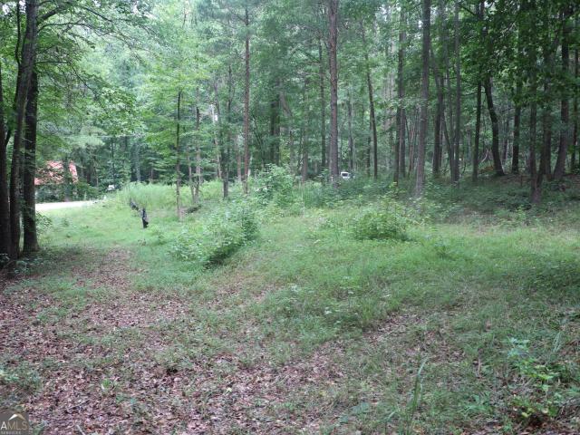 Land for sale in Lavonia, Georgia