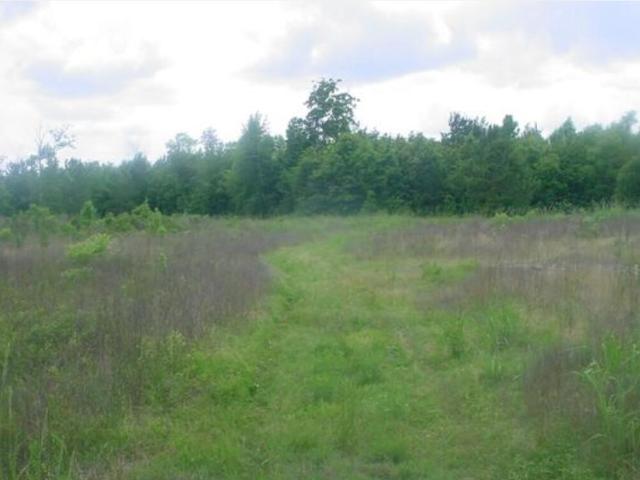 Land for sale in Shepherd, San Jacinto County