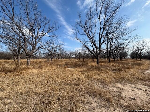 Land for sale in Quemado, Texas