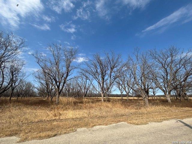 Land for sale in Quemado, Texas