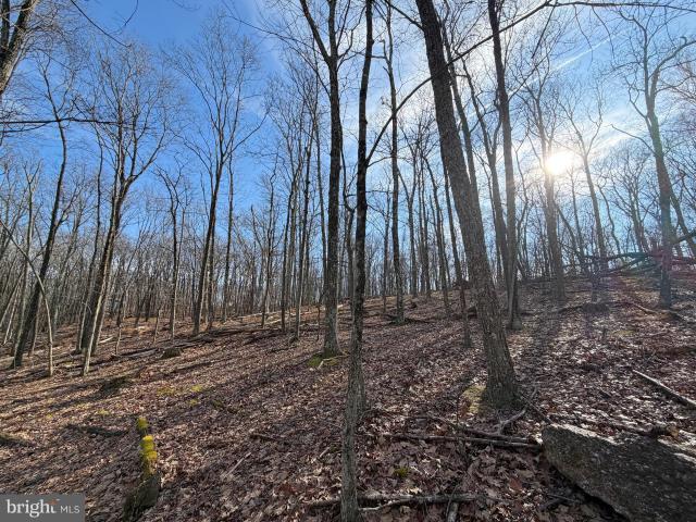 Land for sale in Zion Grove, Pennsylvania