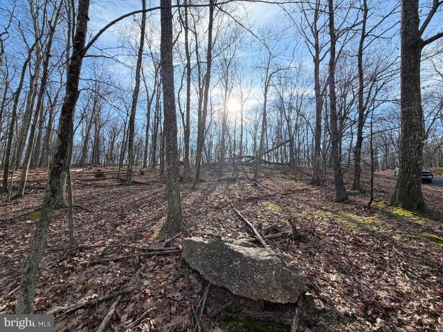 Land for sale in Zion Grove, Pennsylvania