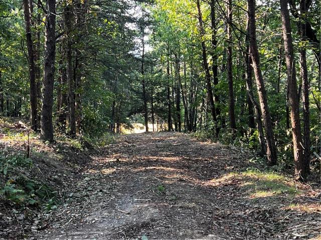 Land for sale in Pickens, Georgia