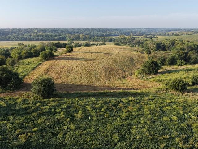 Land for sale in Woodburn, Iowa