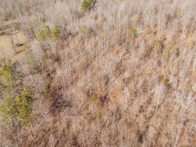 Land for sale in Tennessee