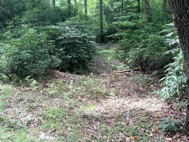 Land for sale in Belington, West Virginia