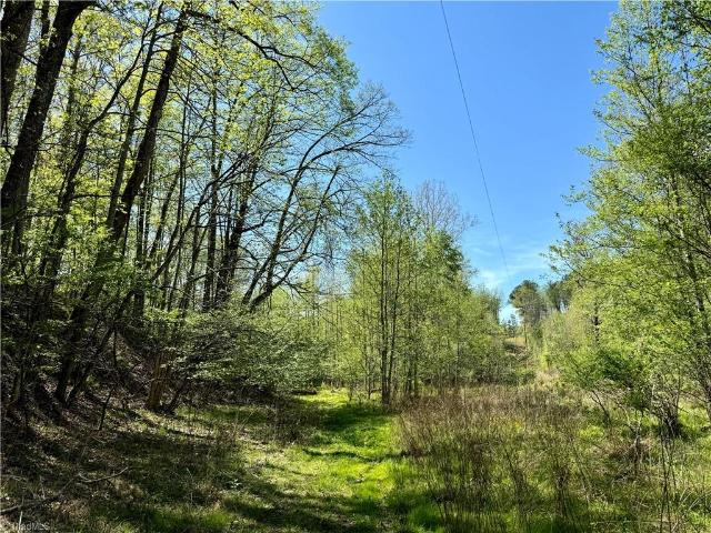 Land for sale in Stokes, North Carolina