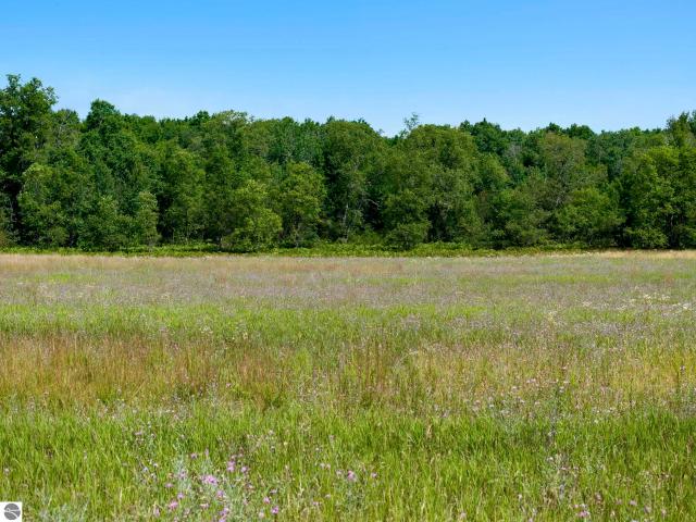 Land for sale in Michigan