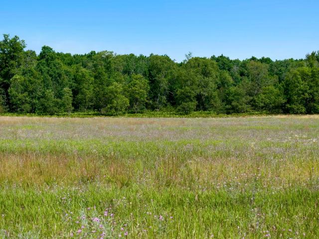 Land for sale in Michigan