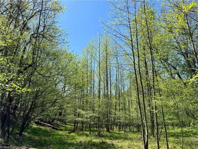 Land for sale in Stokes, North Carolina