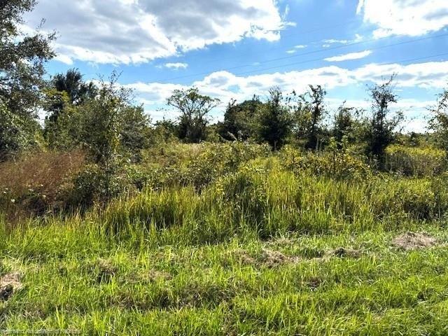 Land for sale in Avon Park, Florida