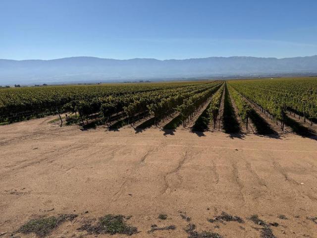 Property for rent in Gonzales, California