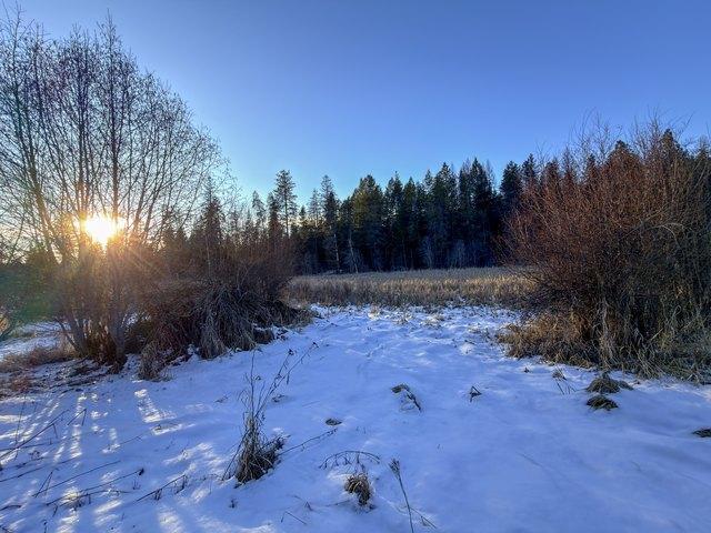 Land for sale in Newport, Washington