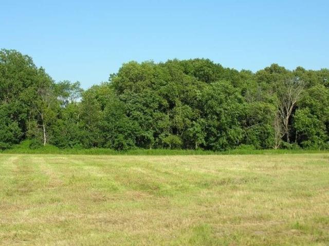 Land for sale in Osage, Iowa