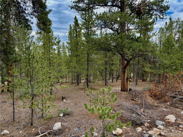 Land for sale in Twin Lakes