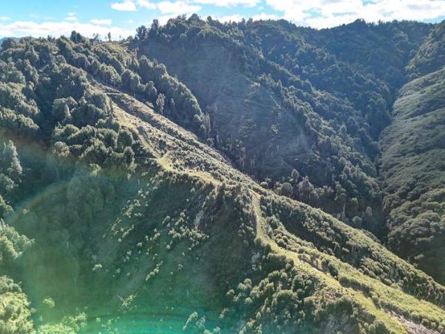 Property for sale in Matata, Wellington