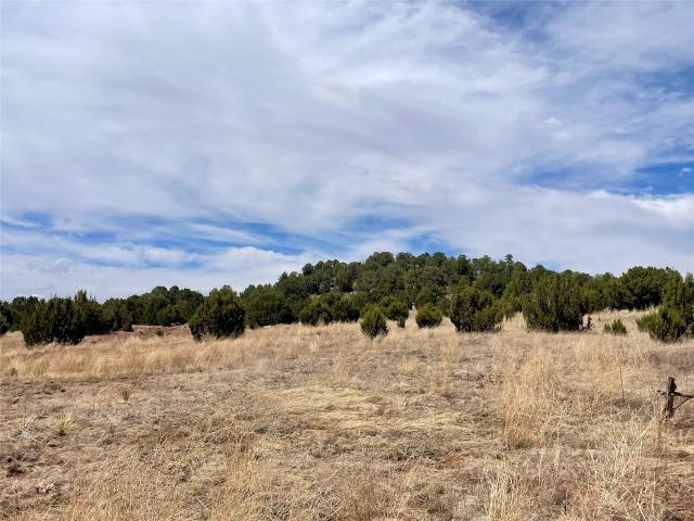 Land for sale in New Mexico