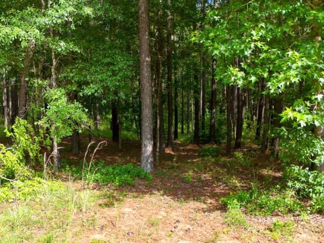 Land for sale in Baldwin, Georgia