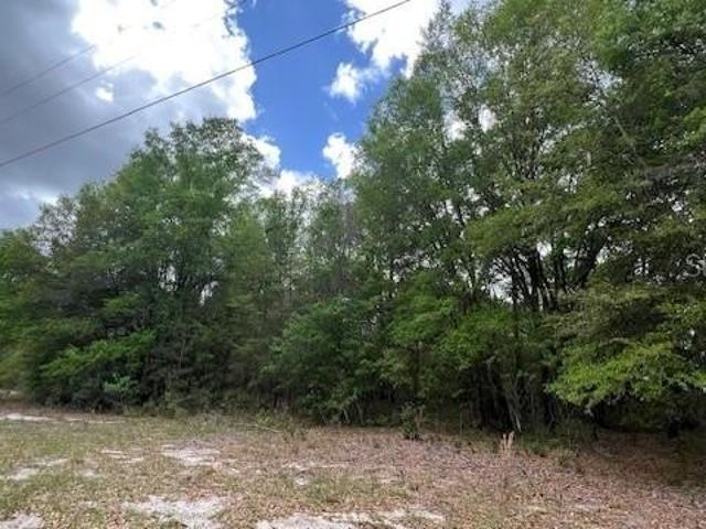 Land for sale in Archer, Florida