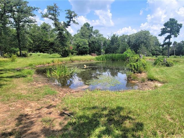 House for sale in Milam, Texas