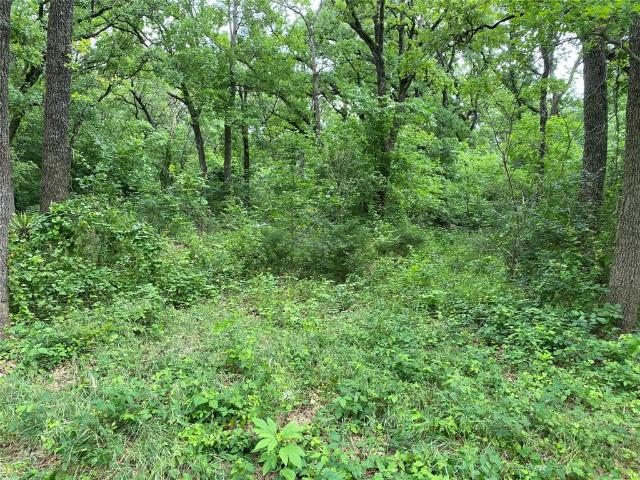 Land for sale in Navarro, Texas