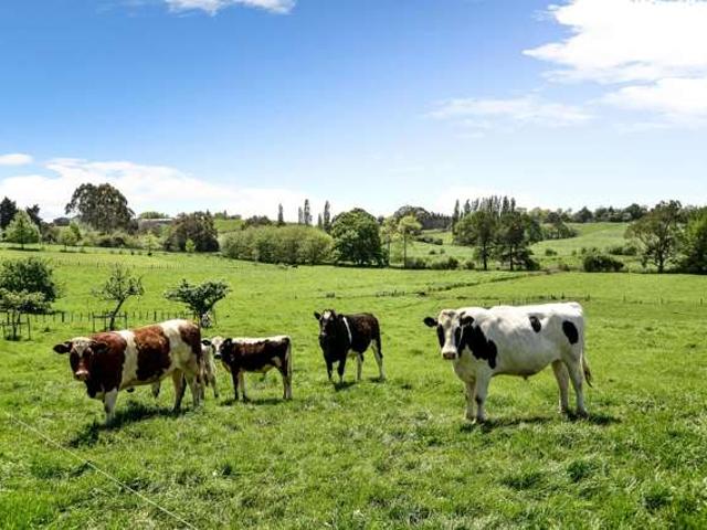 Property for sale in Rukuhia, Waikato