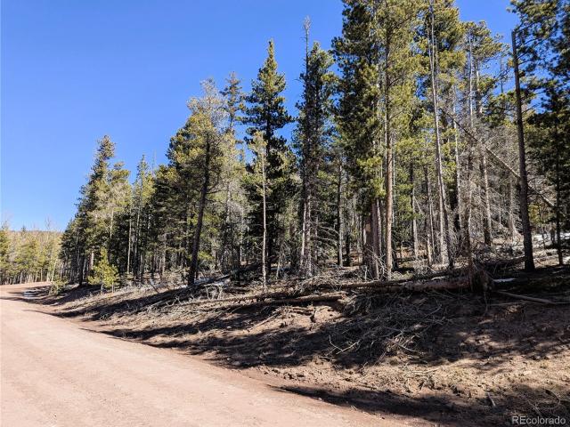 Land for sale in Fort Garland, Colorado