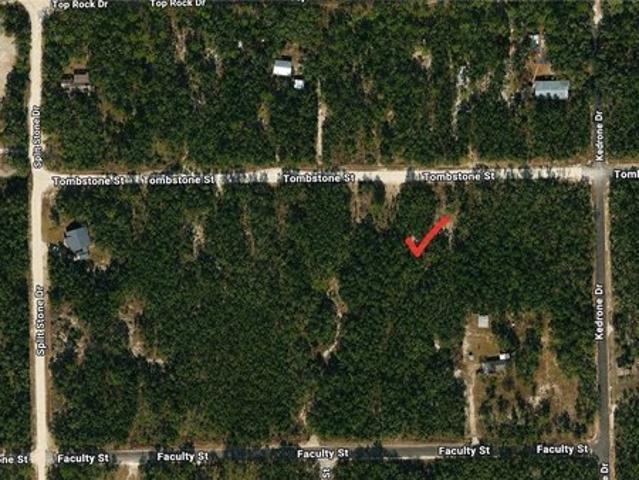 Land for sale in Webster, Florida