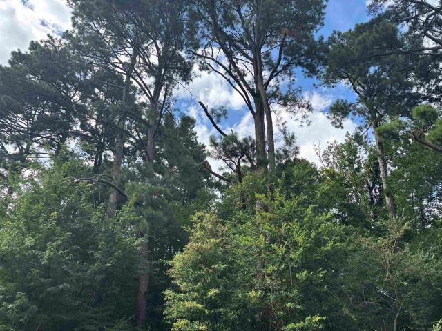 Land for sale in Sheridan