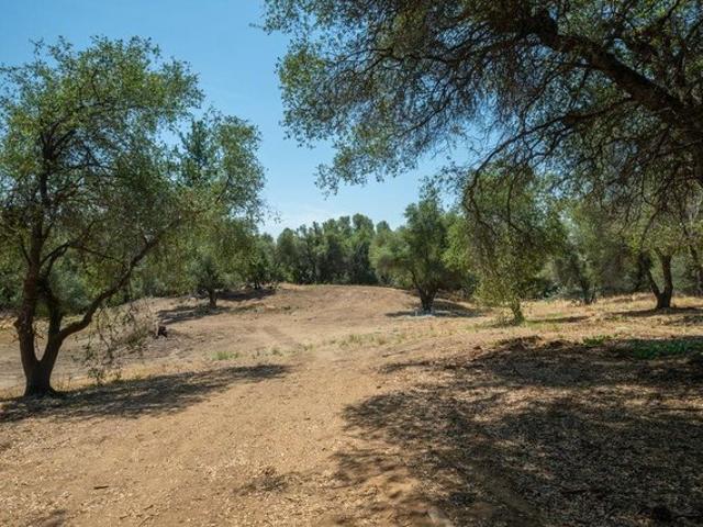 Land for sale in Placerville, El Dorado County