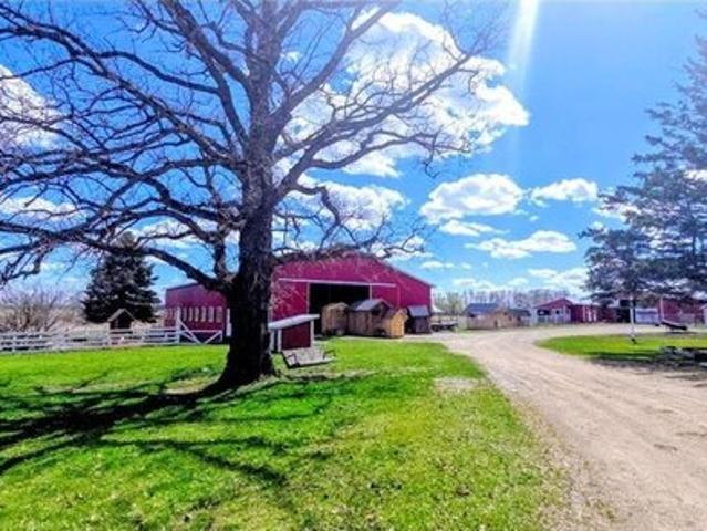 House for sale in Todd, Minnesota