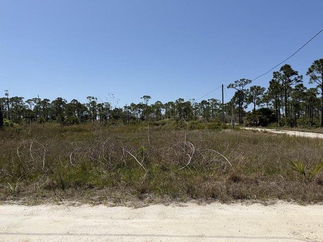 Land for sale in Gulf, Florida
