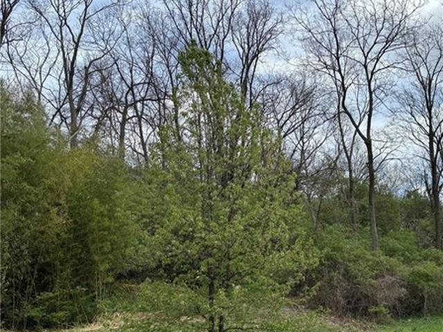 Land for sale in East End, Cincinnati