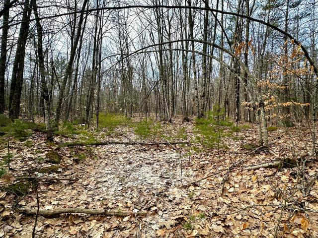 Property for sale in Sebago, Maine