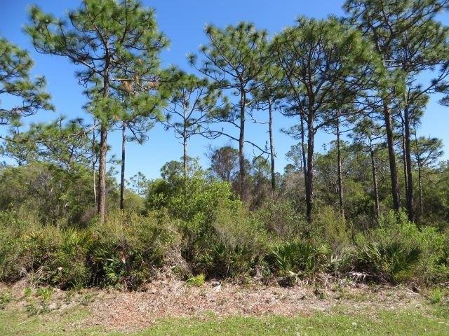 Land for sale in Carrabelle, Florida