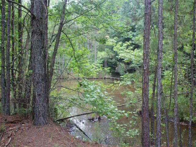 Land for sale in Ark