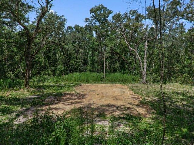 Land for sale in Dixie, Florida