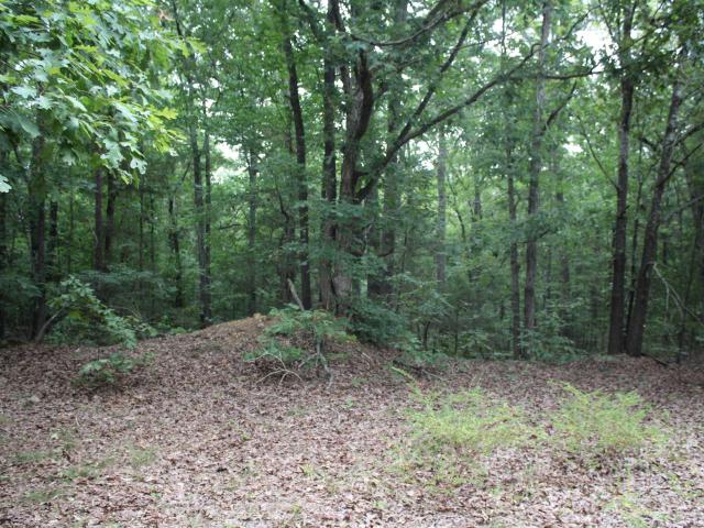 Land for sale in Ark